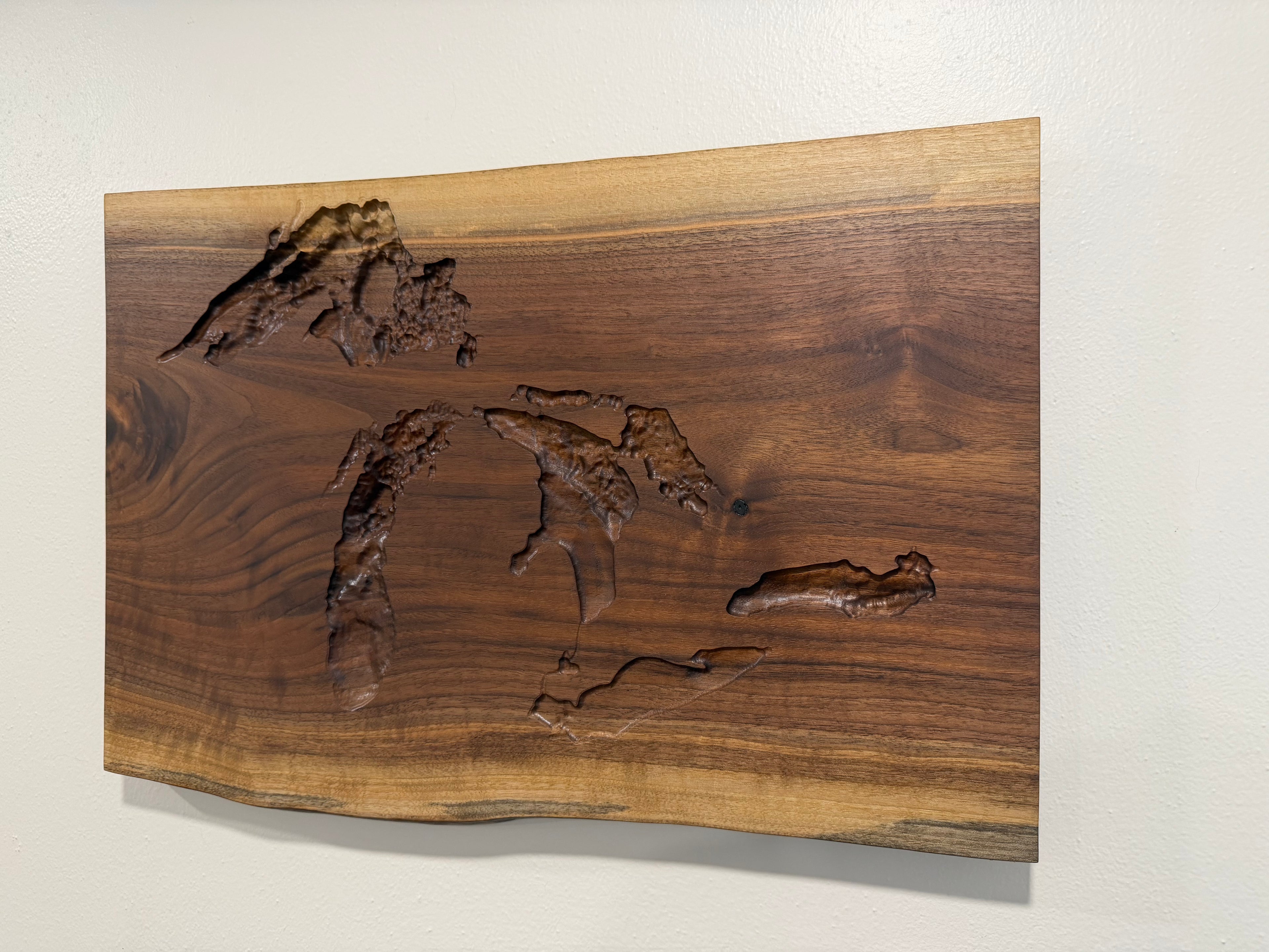 Great Lakes Map - 3D Carved - Bathymetric (Topographical Map)