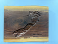 Delavan Lake Map - 3D Carved - Bathymetric (Topographical Map)  [Walworth County, WI]