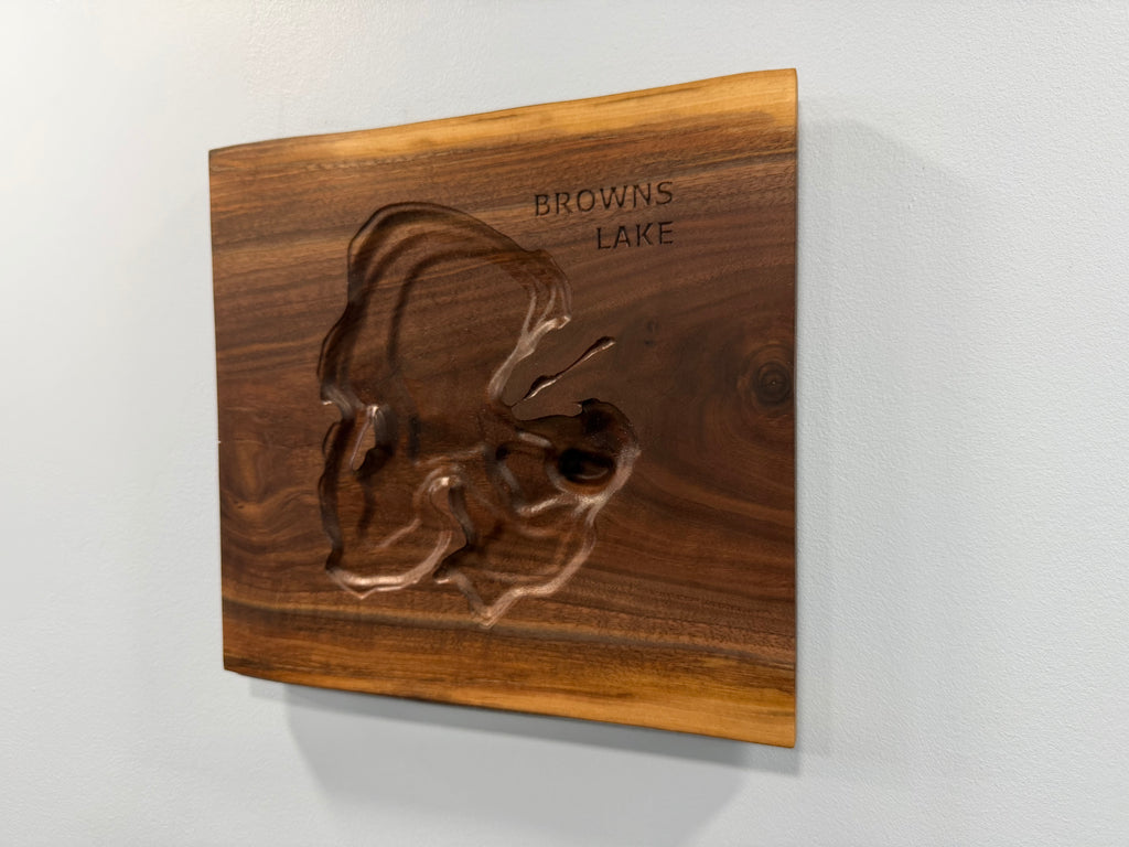 Browns Lake Map - 3D Carved - Bathymetric (Topographical Map)  [Racine County, WI]