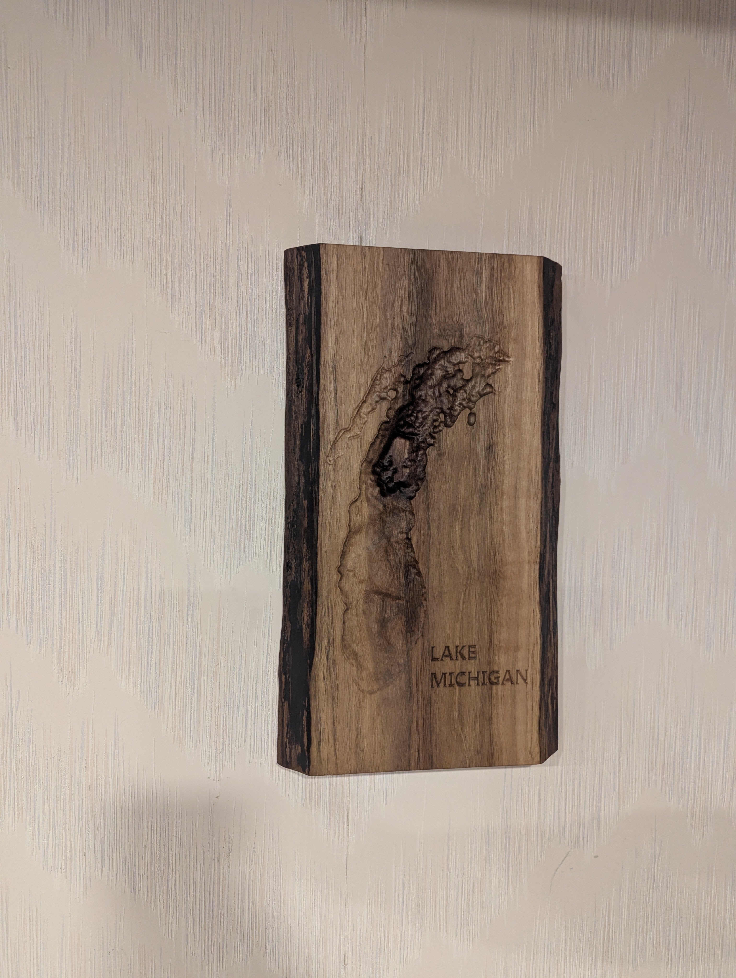 Lake Michigan Map - 3D Carved - Bathymetric (Topographical Map)  [WI, MI, IN]