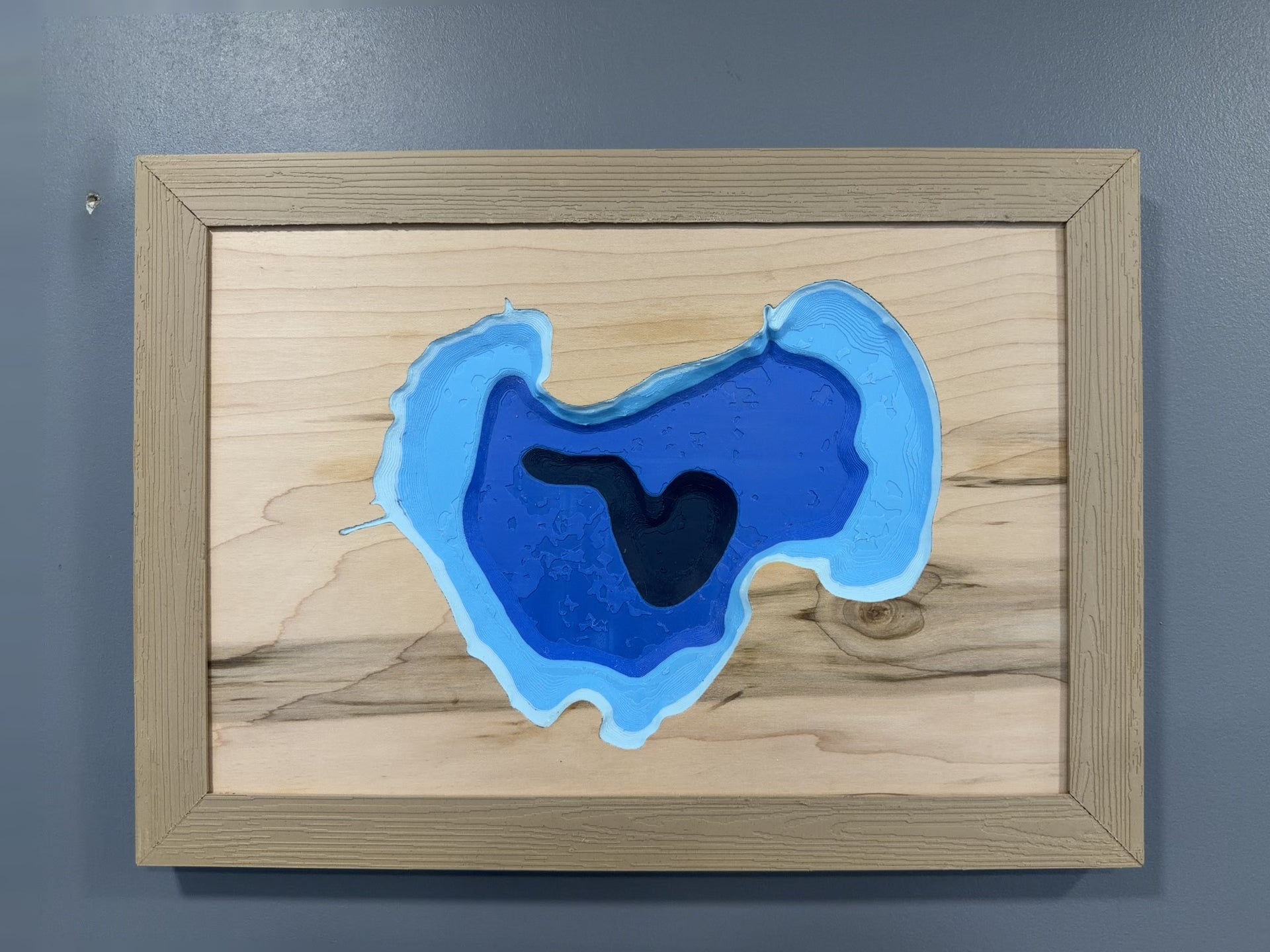 NEW Lake Map - 3D Printed - Bathymetric (Topographical Map)